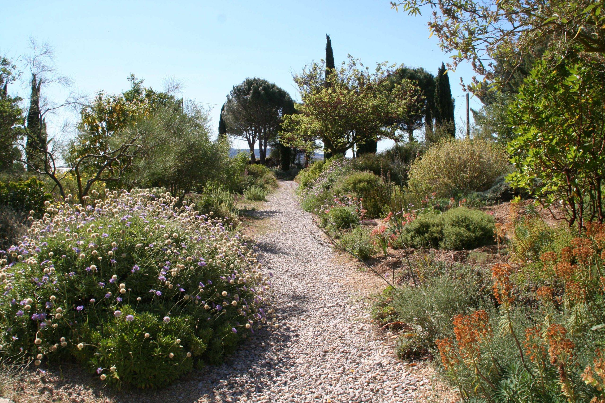 Giardino di ghiaia: Libertà allo stato puro!